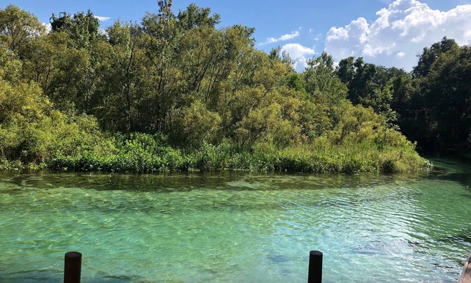 Spring Hill House | Weeki Wachee MAIN RIVER