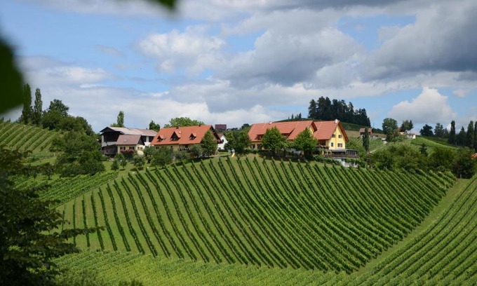Glanz an der Weinstrasse Bed & Breakfast | Weingut Fellner