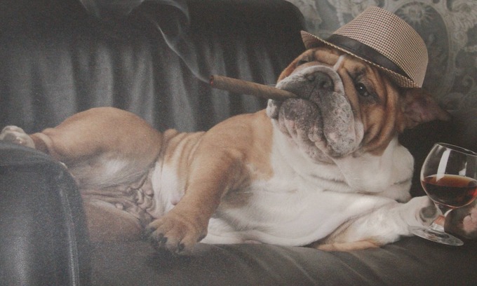 Volkesfeld House | Welcome to our holiday home "Oscar" in Volkesfeld