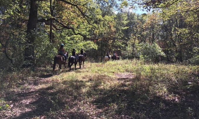 Marseilles RV Rental | Welcome to our magical woods! Relax, unwind a world away but close to home.