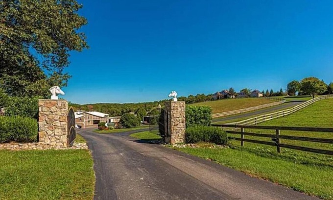 Tuscarora Condo | Welcome to our serene Horse Farm, a getaway to nature outside of Washington, DC.
