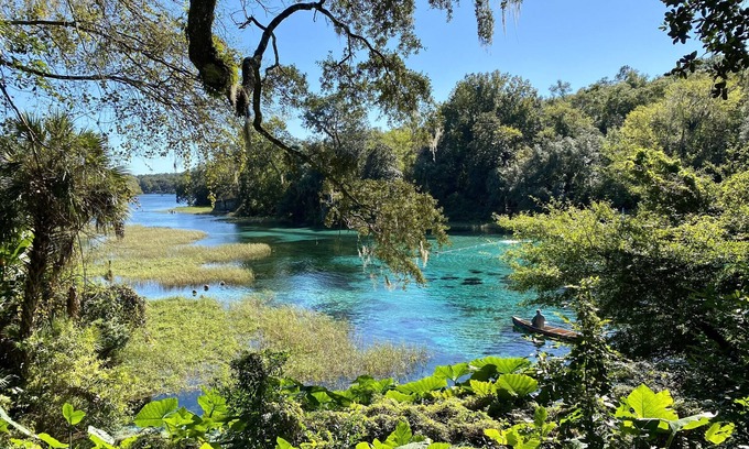 Dunnellon House | Westy's Boho Bungalow @ Rainbow River. Tranquil River Getaway!