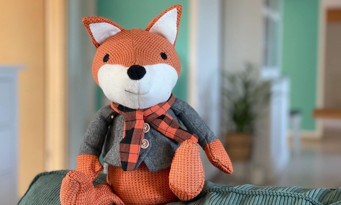 Kisslegg Apartment | . where fox and hare are happy?