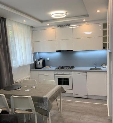 Iwonicz-Zdroj Apartment | White Apartment