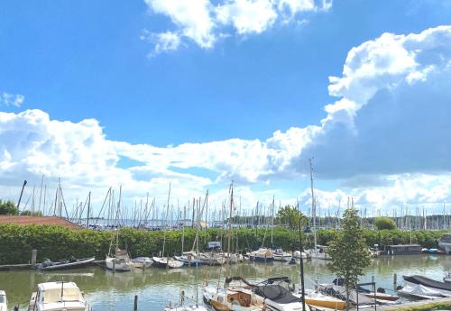 Monnickendam Bed & Breakfast | Who's Anton for you or two, Monnickendam near Amsterdam