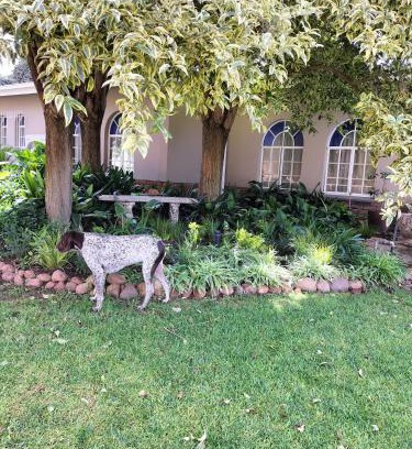 Nala House | WHY NOT GUESTHOUSE