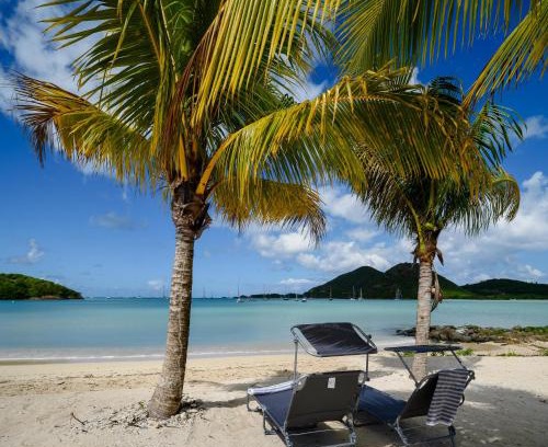 Jolly Harbour Villa | Wild Lotus Villa - Waterfront on Jolly Harbour