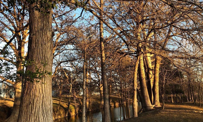 Utopia House | Wild Oak Ranch Cabin and Riverfront