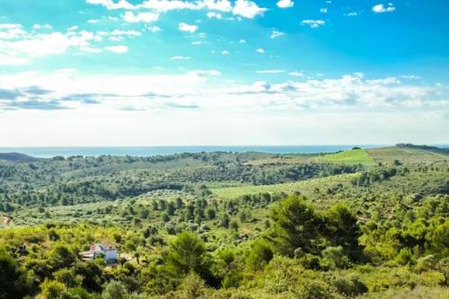 Vilanova d'Alcolea House | WILDSPIRIT Room at WILDSPIRIT Eco Cultural Farm