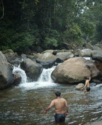 Lakkidi Hotel | willowCreek