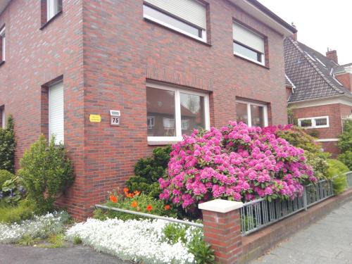 Barenburg Apartment | Wind & Wasser