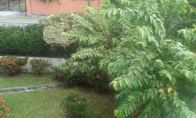 Bonne Terre Apartment | Windy2Baywalk