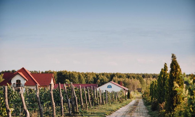Sulechow House | Winnica Mozów