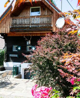 Sankt Stefan ob Stainz Ski Chalet | Winzerhaus Rose