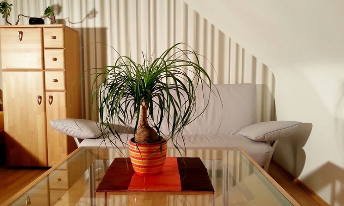 Mitte Apartment | With garage, 1 minute z. Subway, WiFi, washing machine.& Laundry door, fully automatic coffee machine