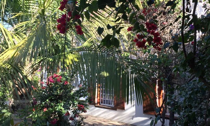 Tulbagh House | Wittedrift Manor House