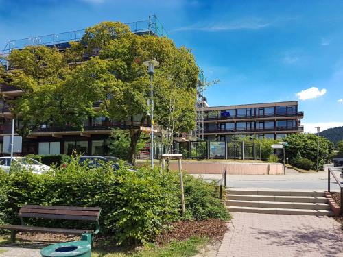 Hahnenklee Apartment | Wohnung am See in Hahnenklee