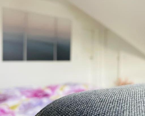 Ostliches Ringgebiet Apartment | Wohnung im Herzen von Braunschweig am Theater