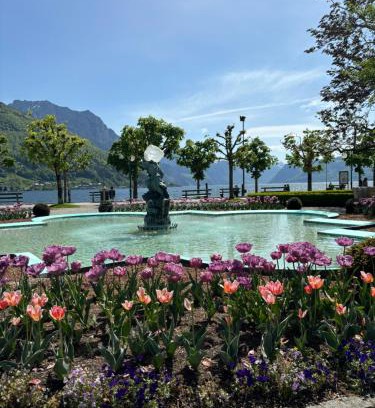 Gmunden Apartment | Wohnung See- und Bergnähe