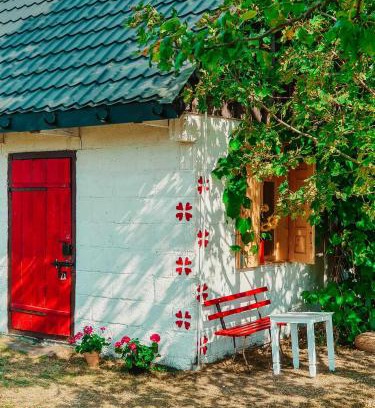 Kleszczele House | Wokół Starej Jabłoni