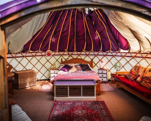 West Buckland Other | Woodland Yurt at Kingsmead