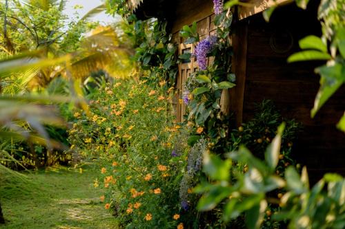 Buon Ma Thuot Bed & Breakfast | Xóm Sình Homestay & Farmstay Buôn Ma Thuột ĐakLak