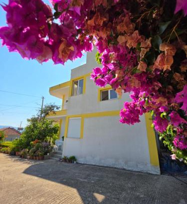 Delvine House | Xhemi's Home&Garden