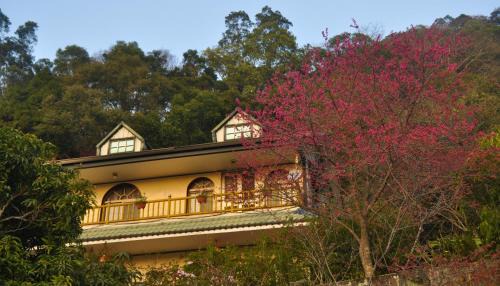 Shitan House | Xianshan Homestay