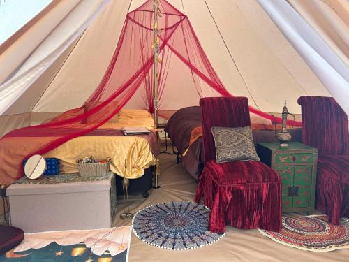 Rosedale Other | #Y7 Whole New World Yurt