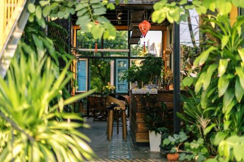 Tuy Hoa Hotel | Yellow Farm Homestay at Tuy Hòa Phú Yên