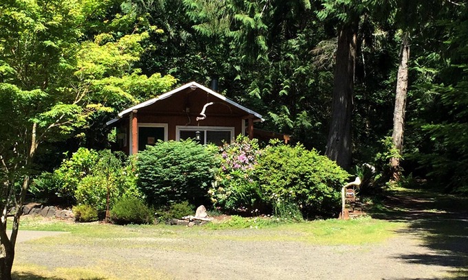 Shelton Cabin | Your Forest Hideaway on Beautiful Harstine Island