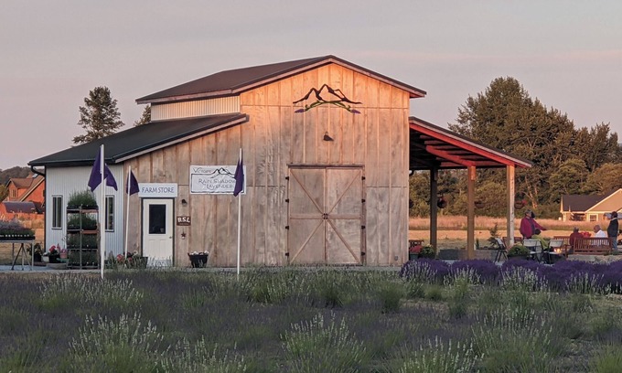 Sequim Other | Your own Lavender farm in Sunny Sequim!