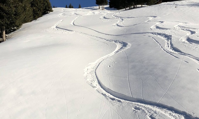 Faschina Apartment | Your vacation apartment in Damüls Faschina | SKI IN /SKI OUT