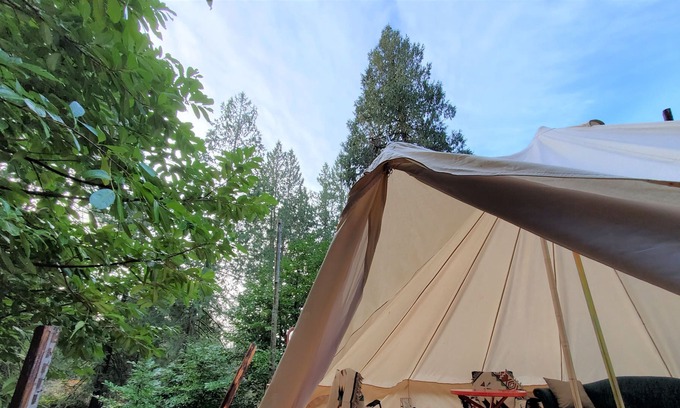 Woodfibre House | Yurt Glamping with Sauna, Movie setup, Kayak