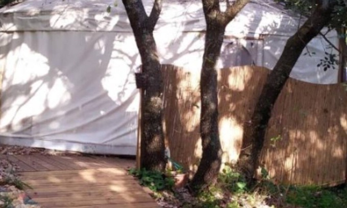 Amirim Ski Chalet | Yurt Located in a Little oak Grove