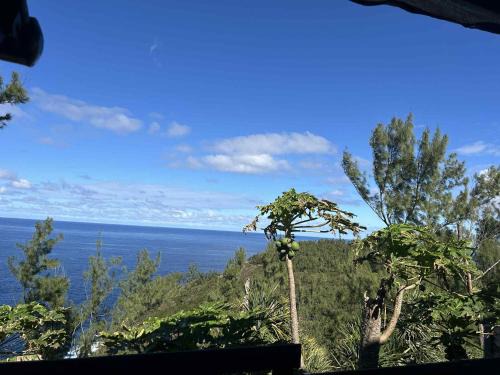 Grande Anse Apartment | Zèl O Van