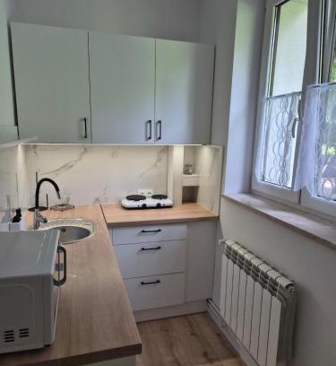 Tarnow Apartment | Zawada Tarnów Apartment