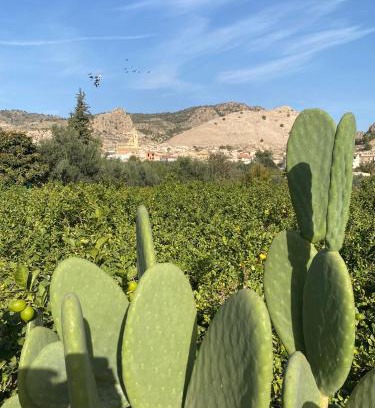 Huerta de Arriba Apartment | ZEN à RICOTE