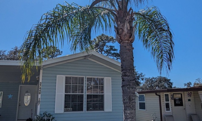 Zephyrhills South Other | Zephyrhills Florida close to Tampa, Zoo, Hard Rock, and Bush Gardens.nPool.