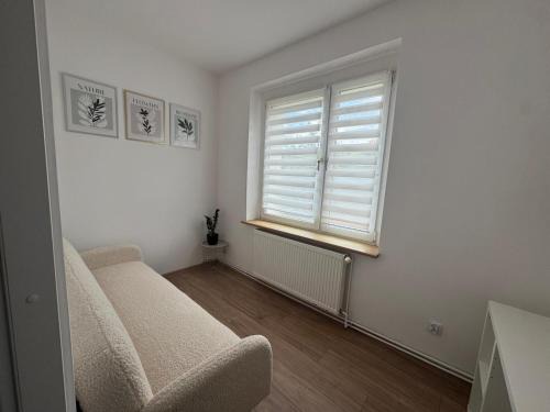 Zofin Apartment | zloty