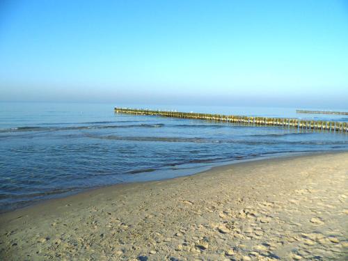 Gelbensande Apartment | Zur Fledermaus