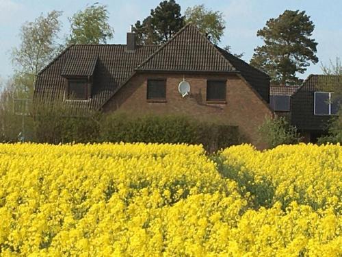 Brebel Apartment | Zwischen den Feldern