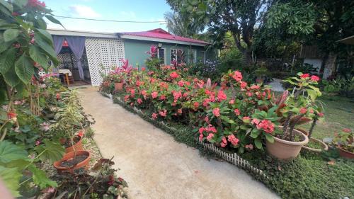 Haalalo House | Zzz