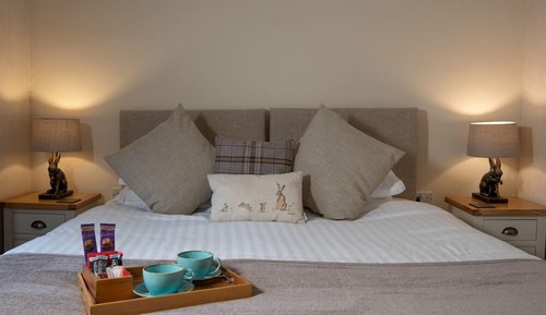 Standard Double or Twin Room