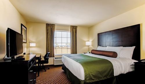 Room, 1 King Bed, Non Smoking