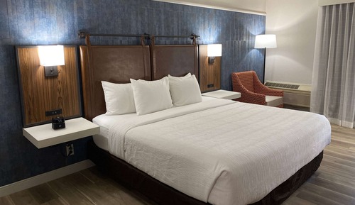 Room, 1 King Bed, Non Smoking