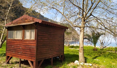 Standard Tree House