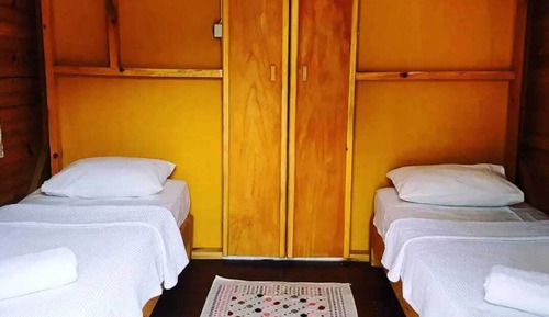 Design Tree House, 1 Bedroom