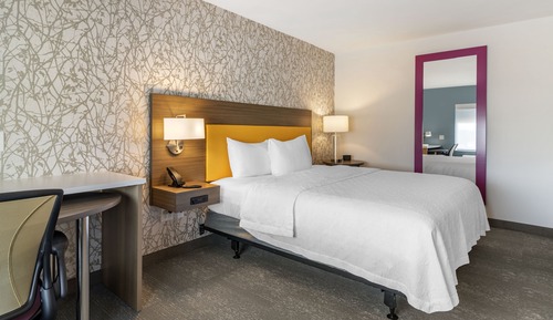 Suite, 1 King Bed, Accessible (Roll-In Shower)