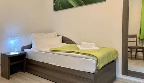 Classic Single Room, Private Bathroom (Apartment)